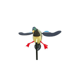 Lokkefugl Gråand Med Roterende Vinger