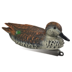 Lokkefugl Krikand Hun