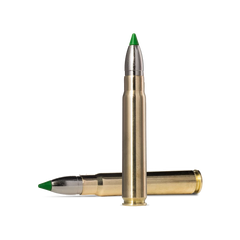 Norma Ecostrike       62 16       250 Gr  20 Stk