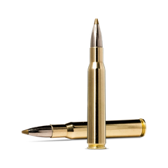 Norma Evostrike 30-06 Spring    0g   139 Gr  20 Stk