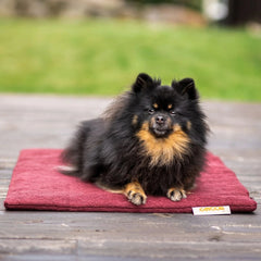 Siccaro Flexdog Drying Mat Mini
