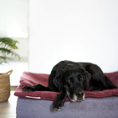 Siccaro Flexdog Drying Mat 90x110