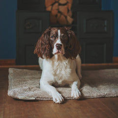 Siccaro Flexdog Drying Mat 70x110