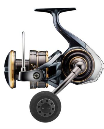 Daiwa 22 Caldia Sw