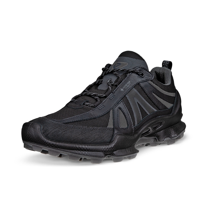 Ecco Biom  -trail Gtx Herre   Mænd  Black-39 Vandresko