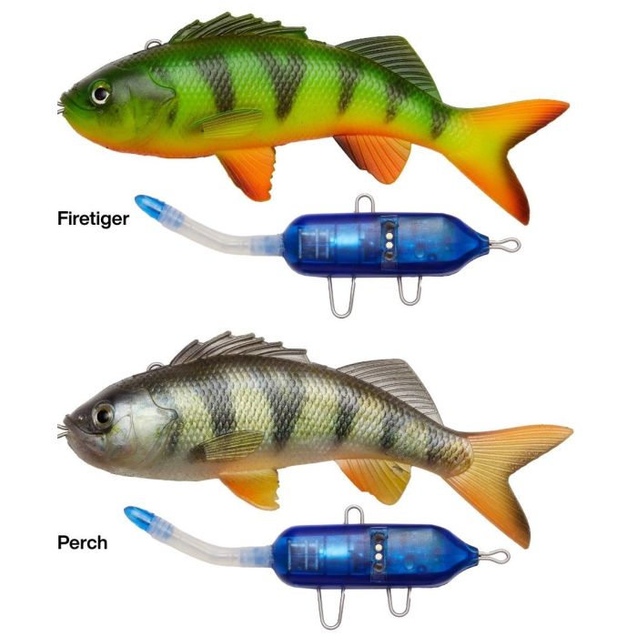 Pulz Bait Starter Kit Perch Aborre