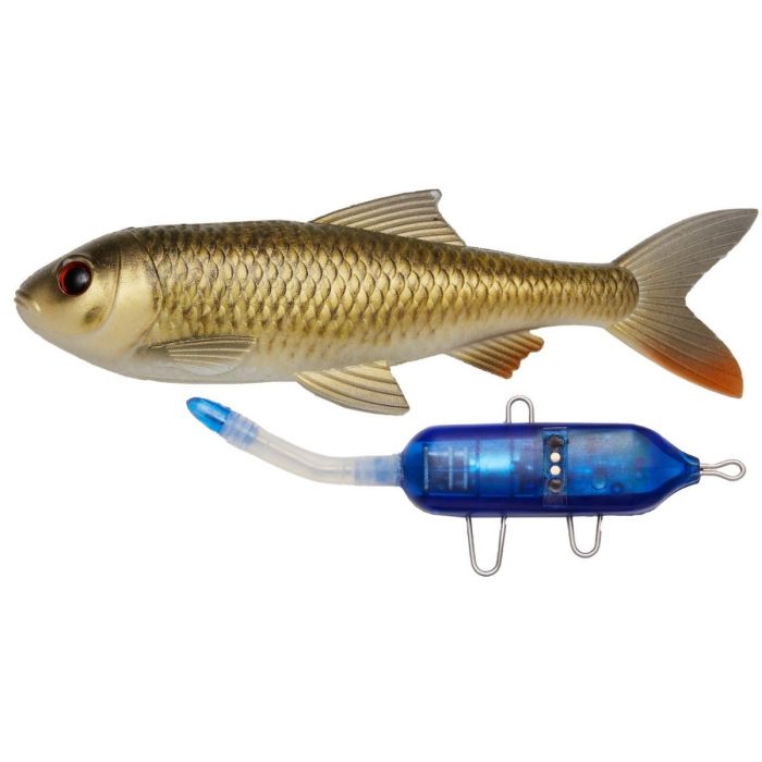 Pulz Bait Starter Kit Roach Skalle