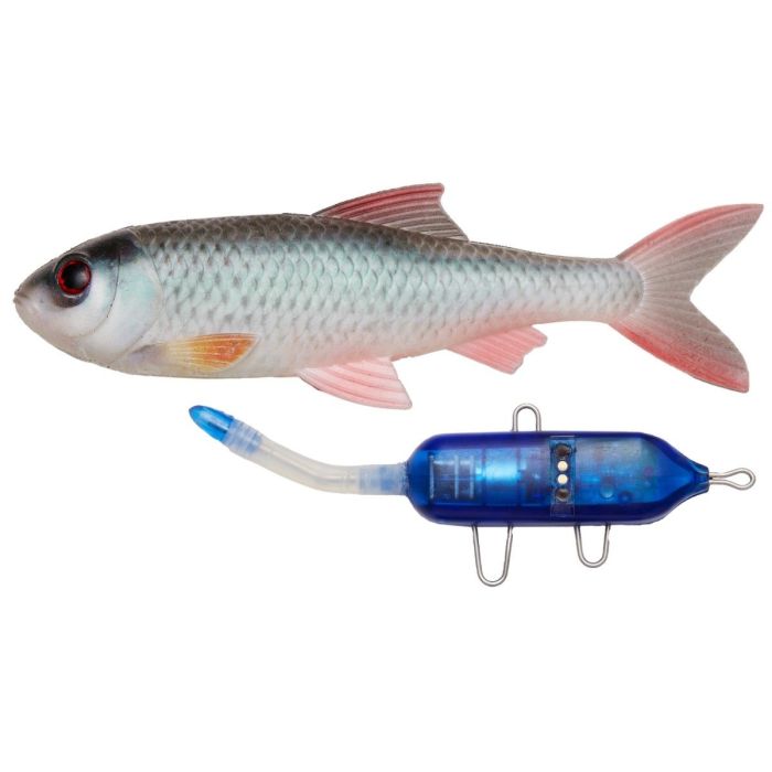 Pulz Bait Starter Kit Roach Skalle