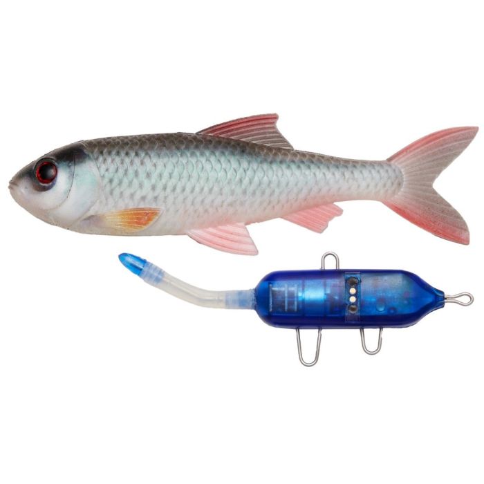 Pulz Bait Starter Kit Roach Skalle